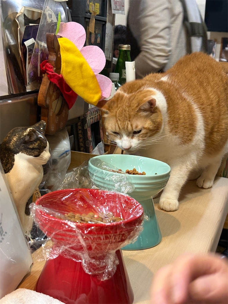 f:id:heurige2:20260206075358j:image