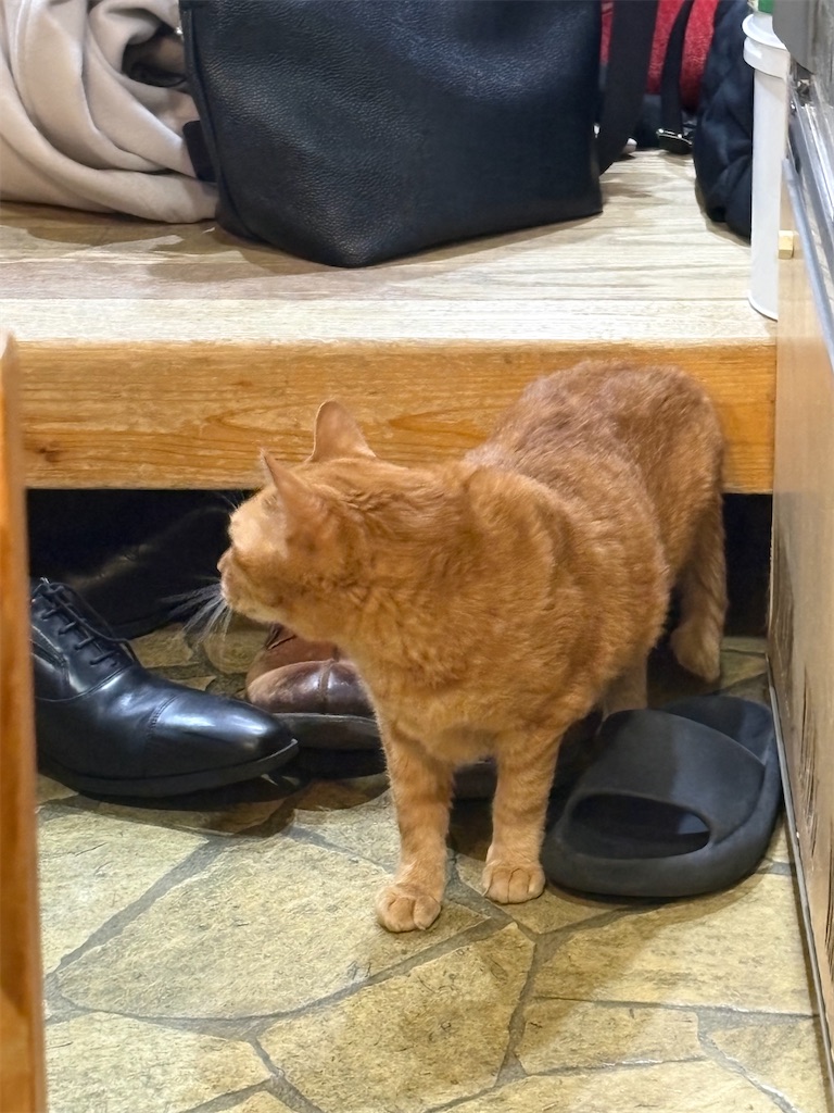 f:id:heurige2:20260206075401j:image