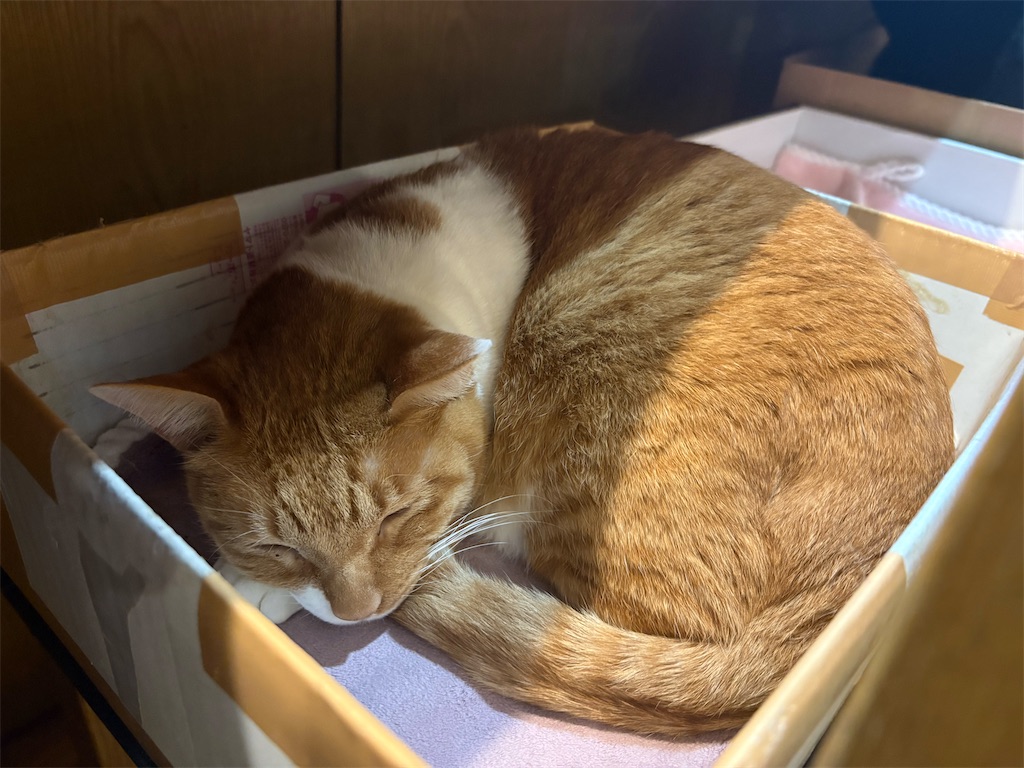 f:id:heurige2:20260206075412j:image