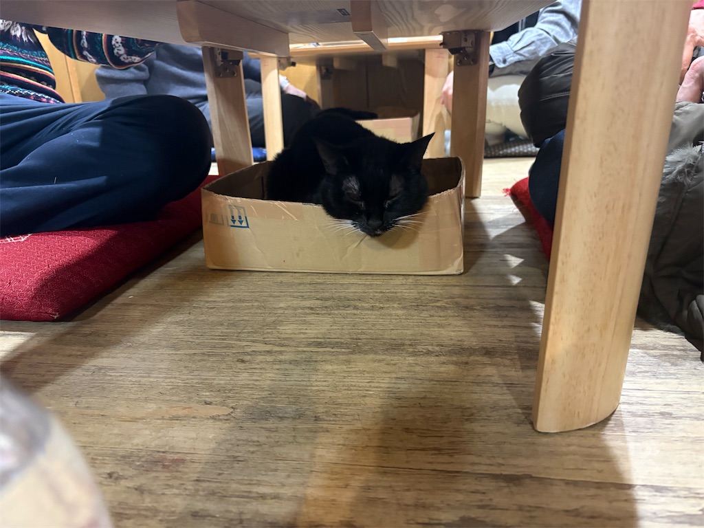 f:id:heurige2:20260206075415j:image