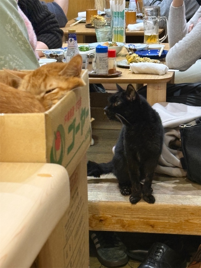 f:id:heurige2:20260206075429j:image