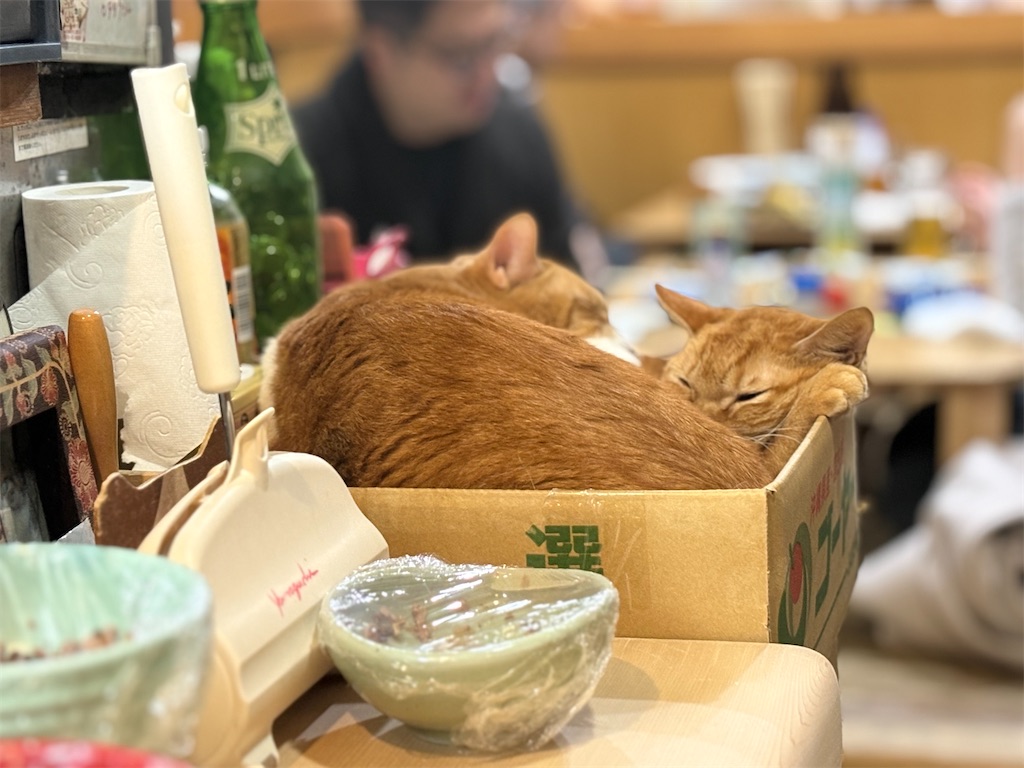 f:id:heurige2:20260206075455j:image