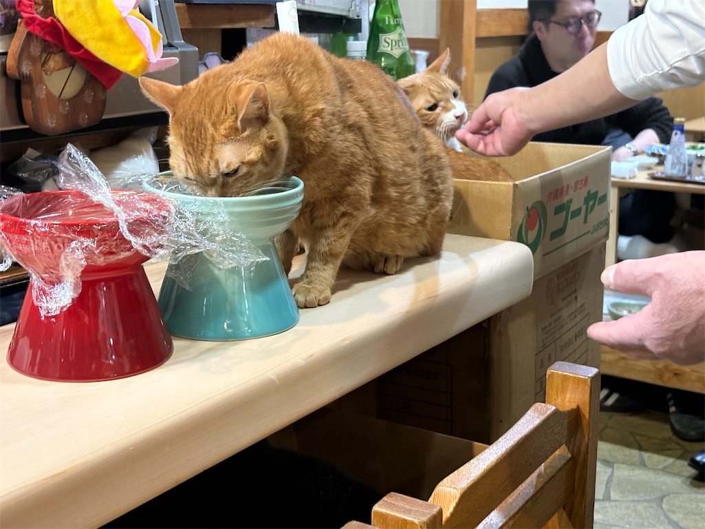 f:id:heurige2:20260206075501j:image