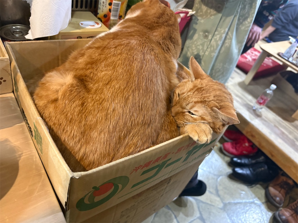 f:id:heurige2:20260206075505j:image