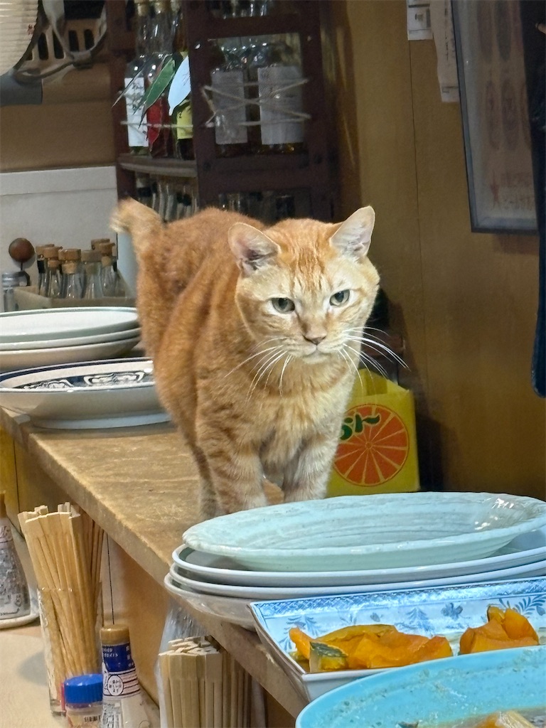 f:id:heurige2:20260209075859j:image