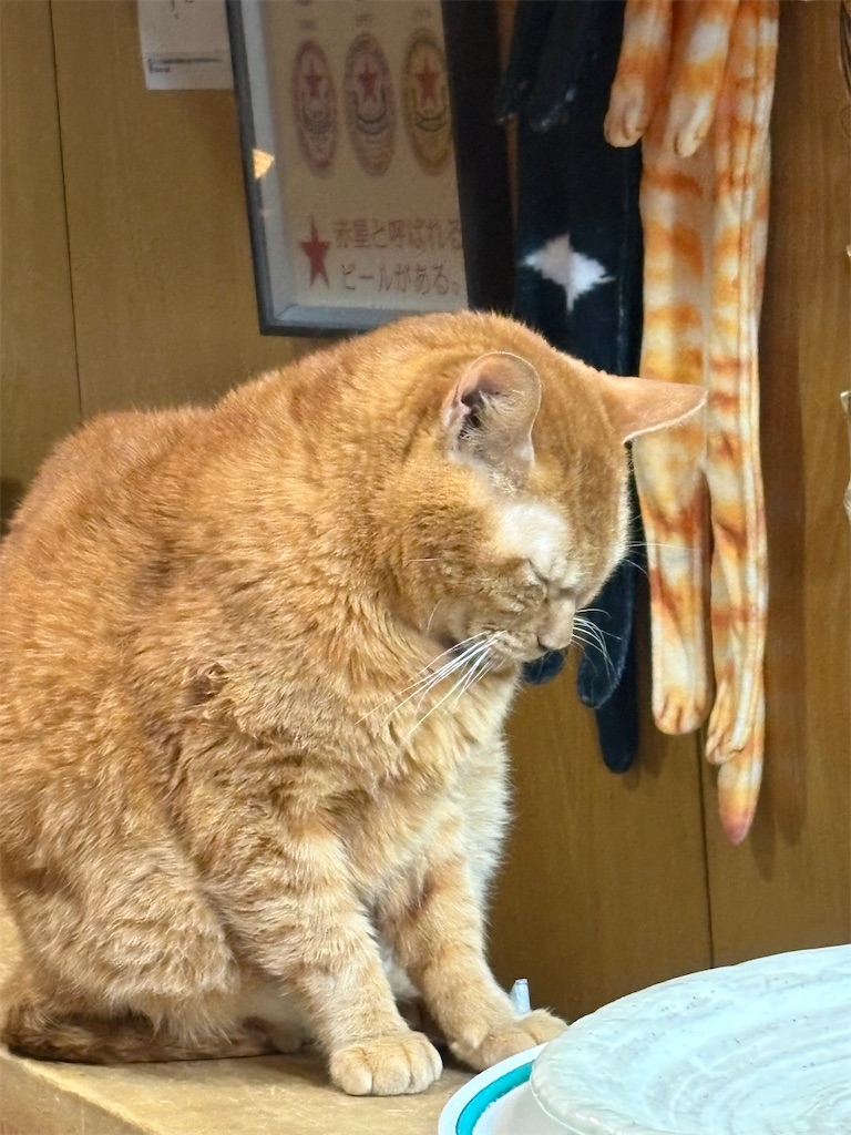 f:id:heurige2:20260209075901j:image