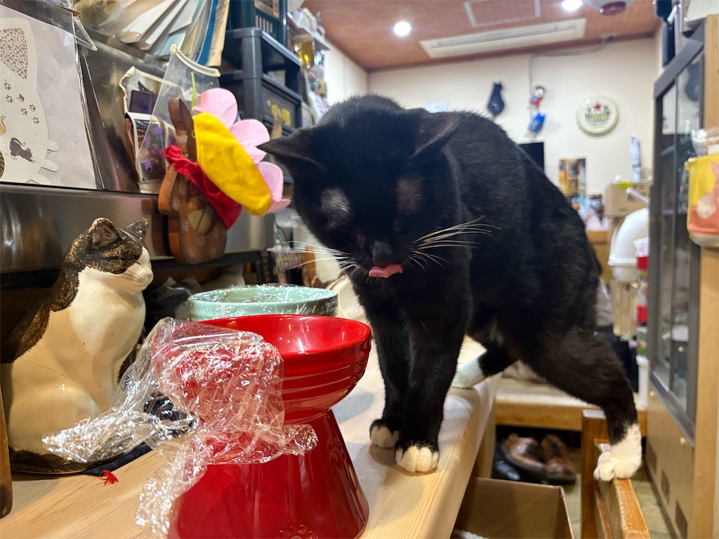 f:id:heurige2:20260209075913j:image