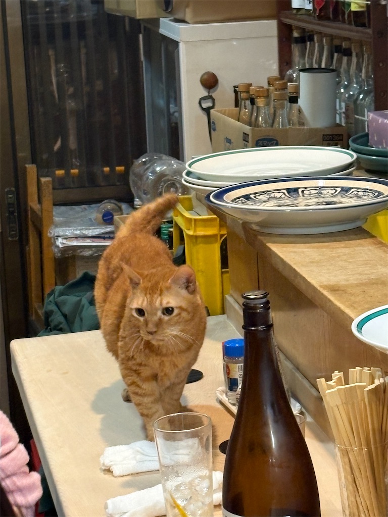 f:id:heurige2:20260209075919j:image