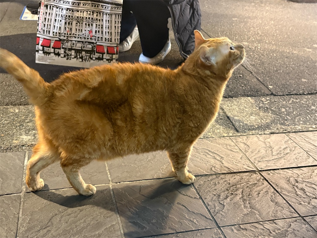 f:id:heurige2:20260209075925j:image