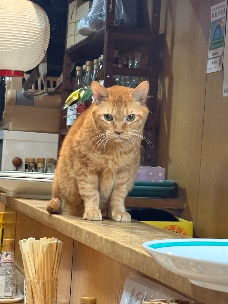 f:id:heurige2:20260209075933j:image