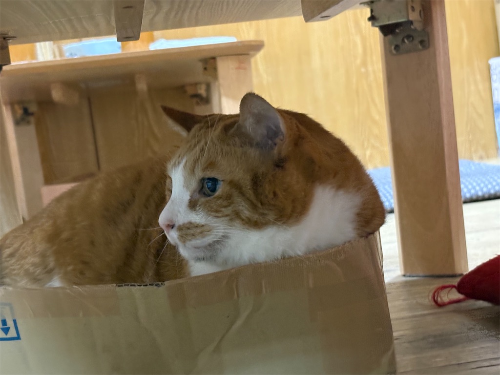 f:id:heurige2:20260209075936j:image