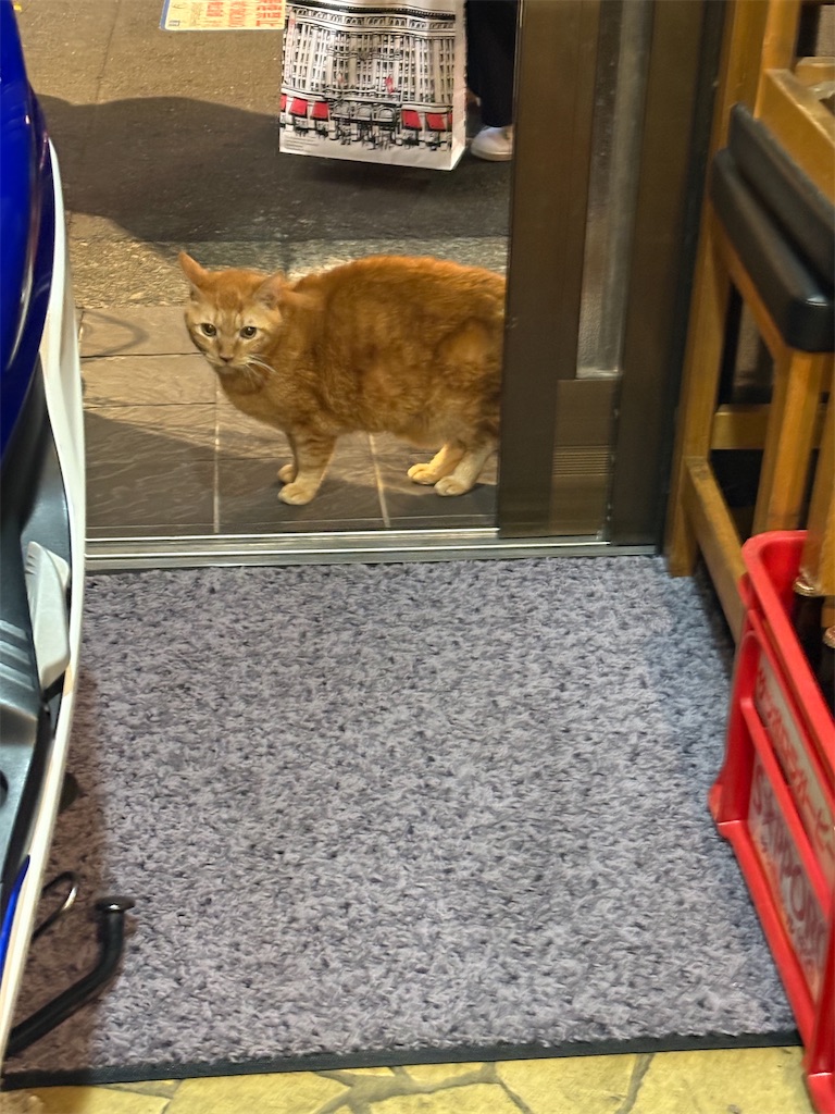 f:id:heurige2:20260209075951j:image