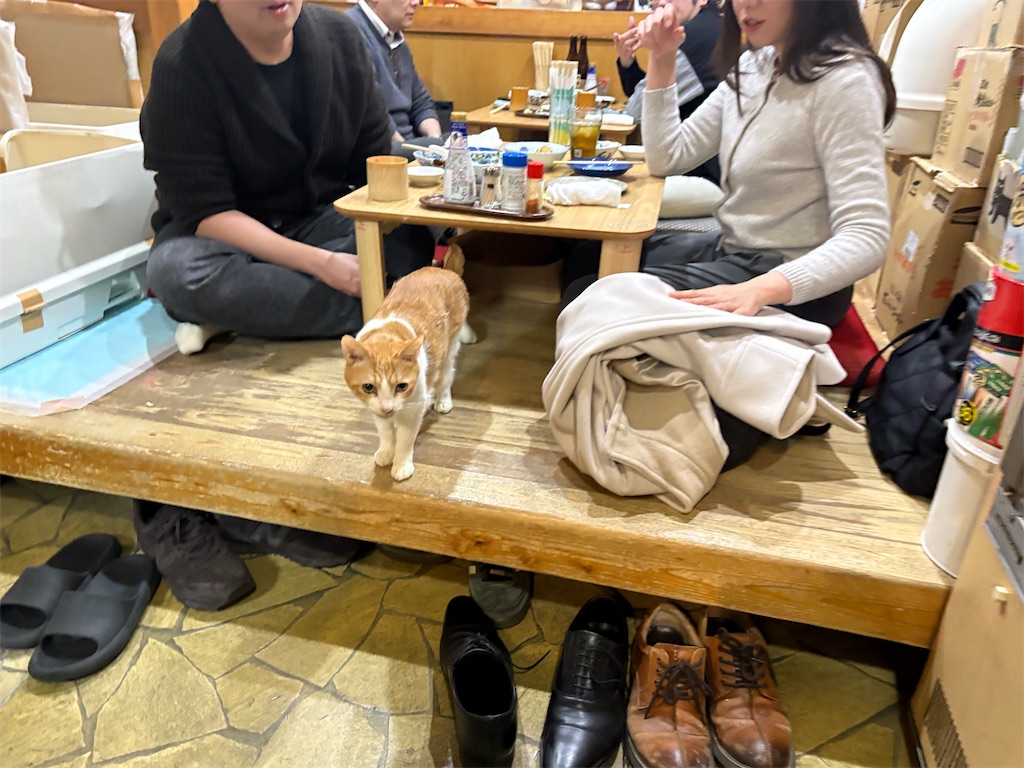 f:id:heurige2:20260209075954j:image