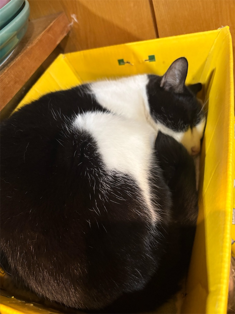 f:id:heurige2:20260209080004j:image