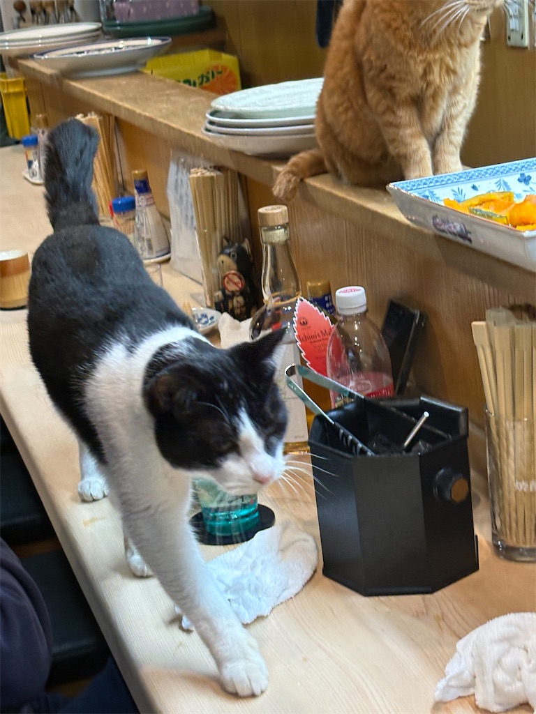 f:id:heurige2:20260209080025j:image