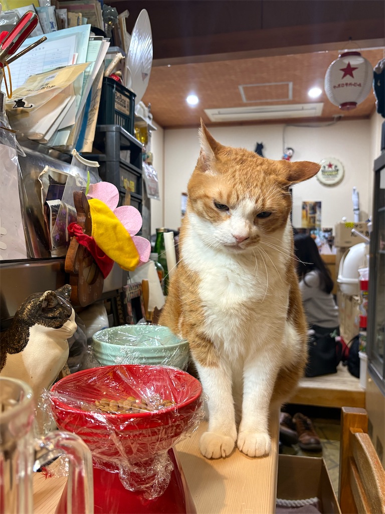 f:id:heurige2:20260209080027j:image