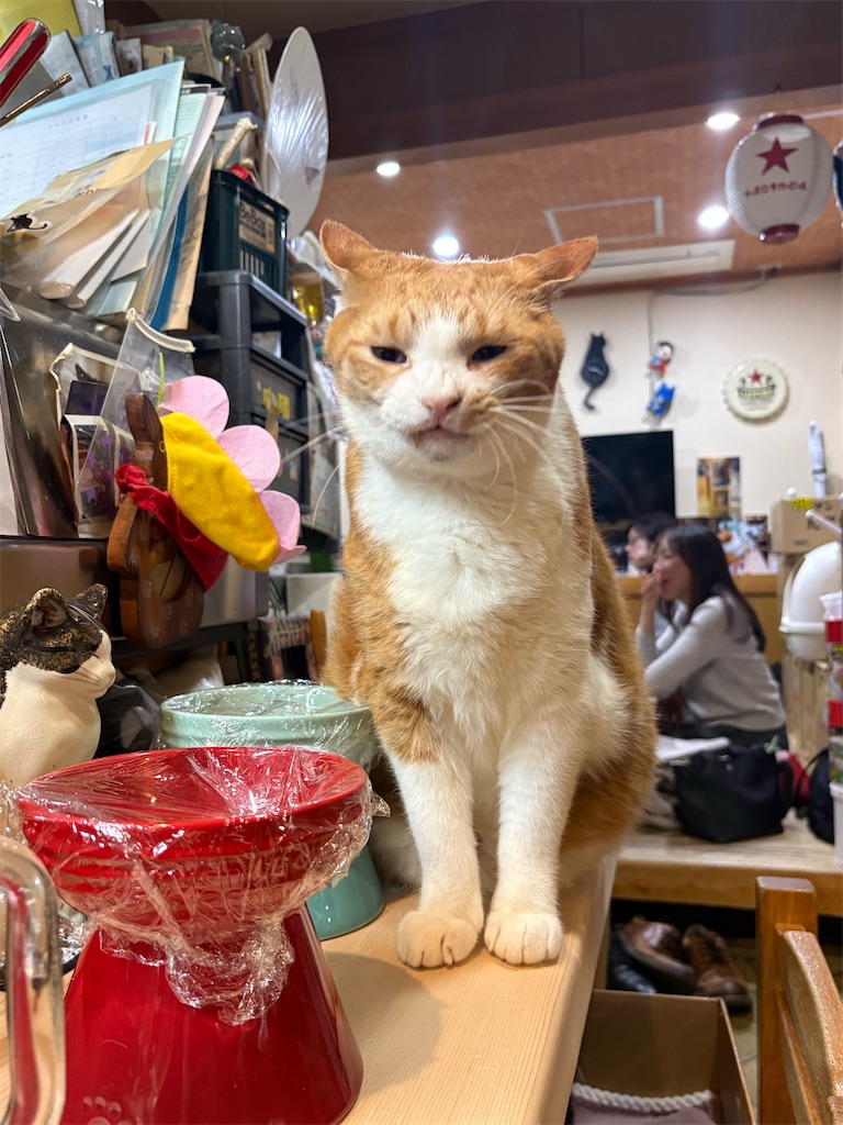 f:id:heurige2:20260209080039j:image