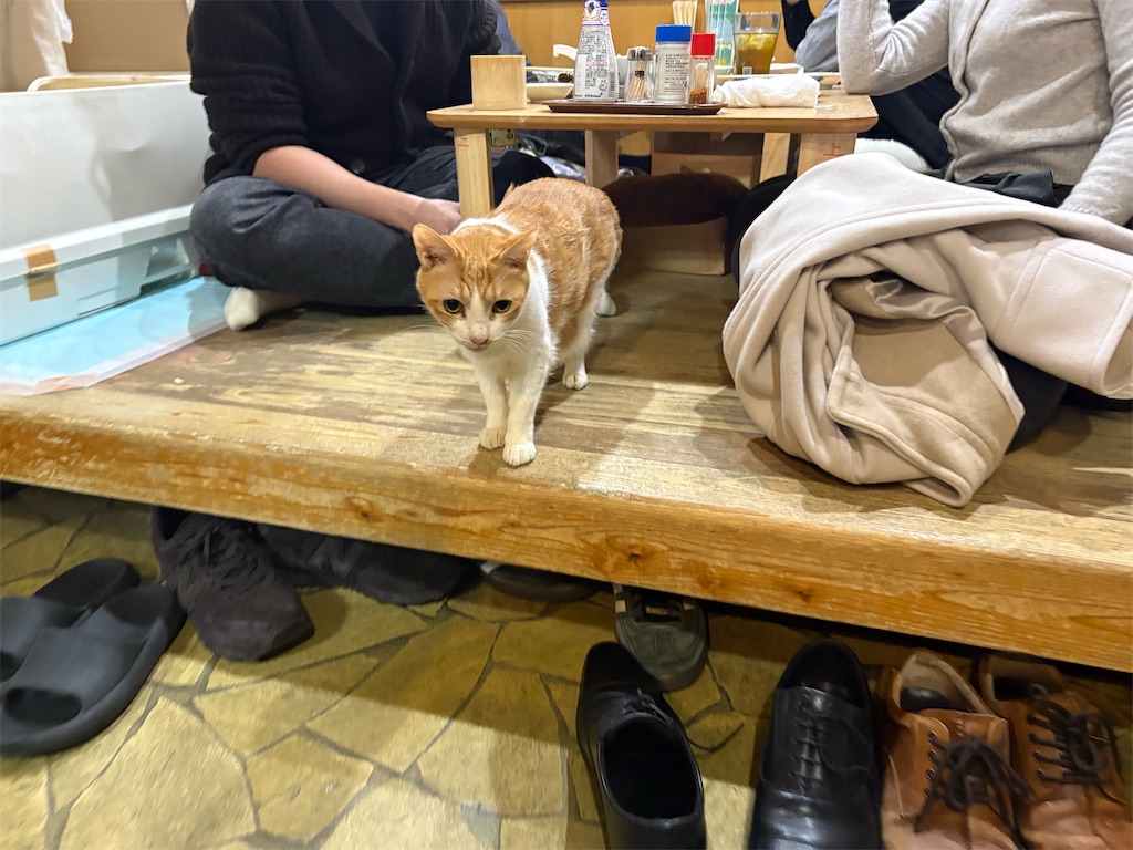 f:id:heurige2:20260209080044j:image