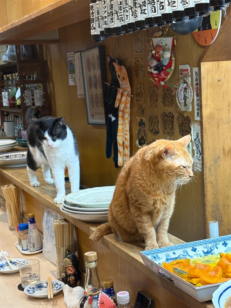 f:id:heurige2:20260209080050j:image