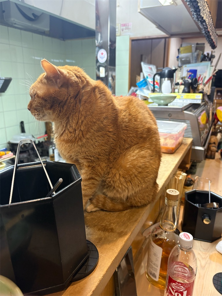 f:id:heurige2:20260209080056j:image