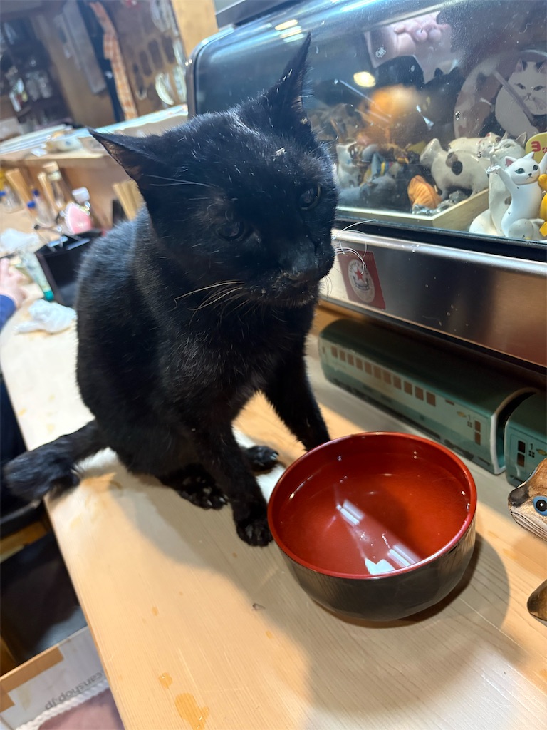 f:id:heurige2:20260209080112j:image