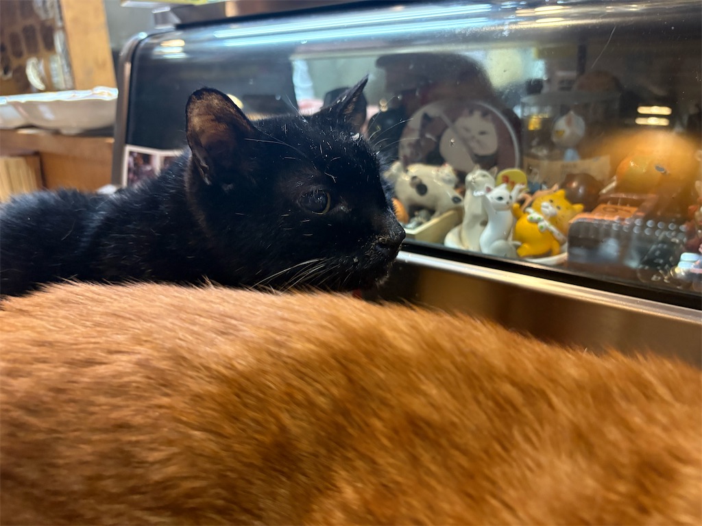 f:id:heurige2:20260209080115j:image