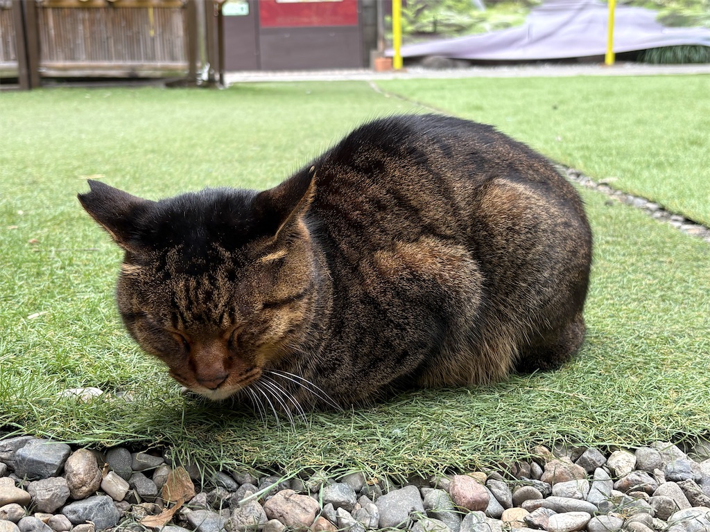 f:id:heurige2:20260210083332j:image