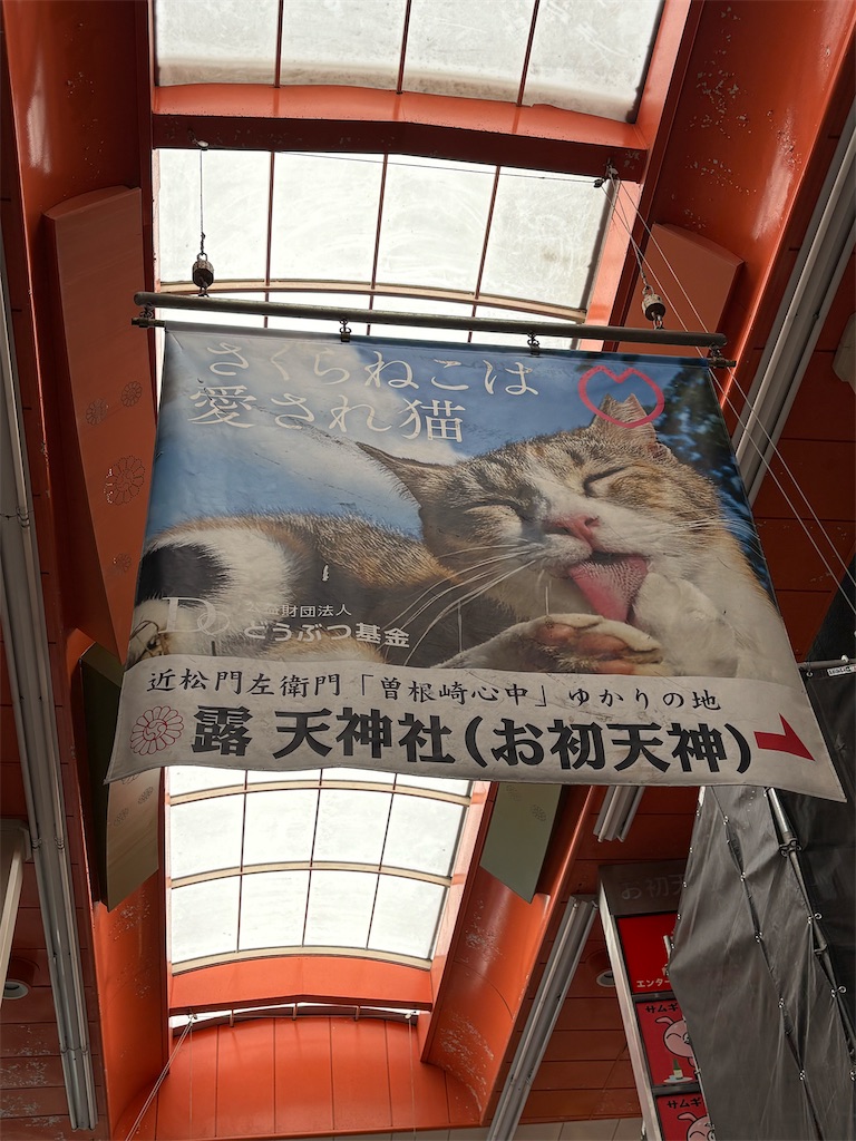 f:id:heurige2:20260210083400j:image