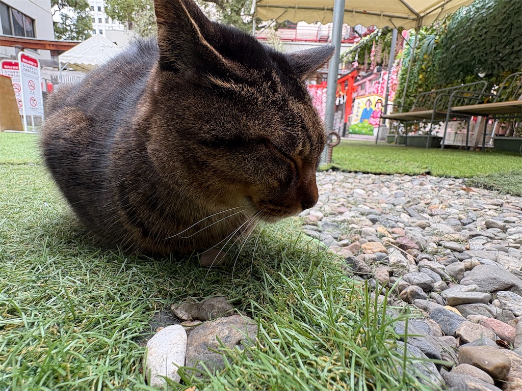 f:id:heurige2:20260210083514j:image