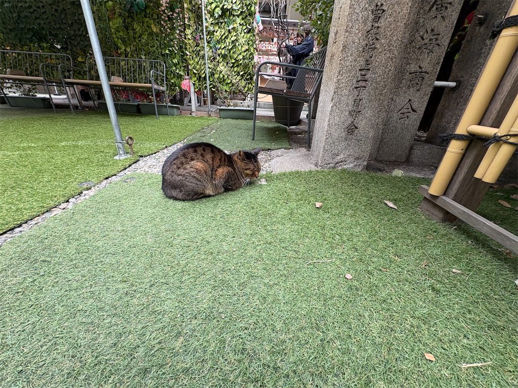 f:id:heurige2:20260210083537j:image