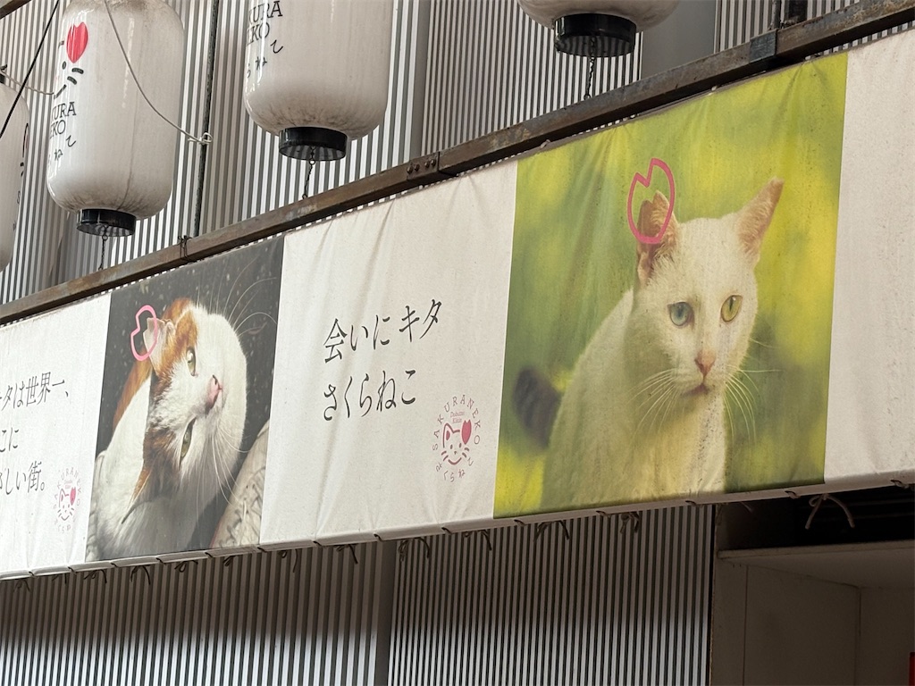 f:id:heurige2:20260210083615j:image