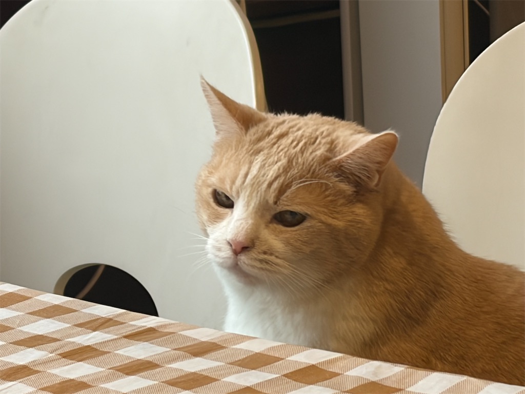 f:id:heurige2:20260324083223j:image