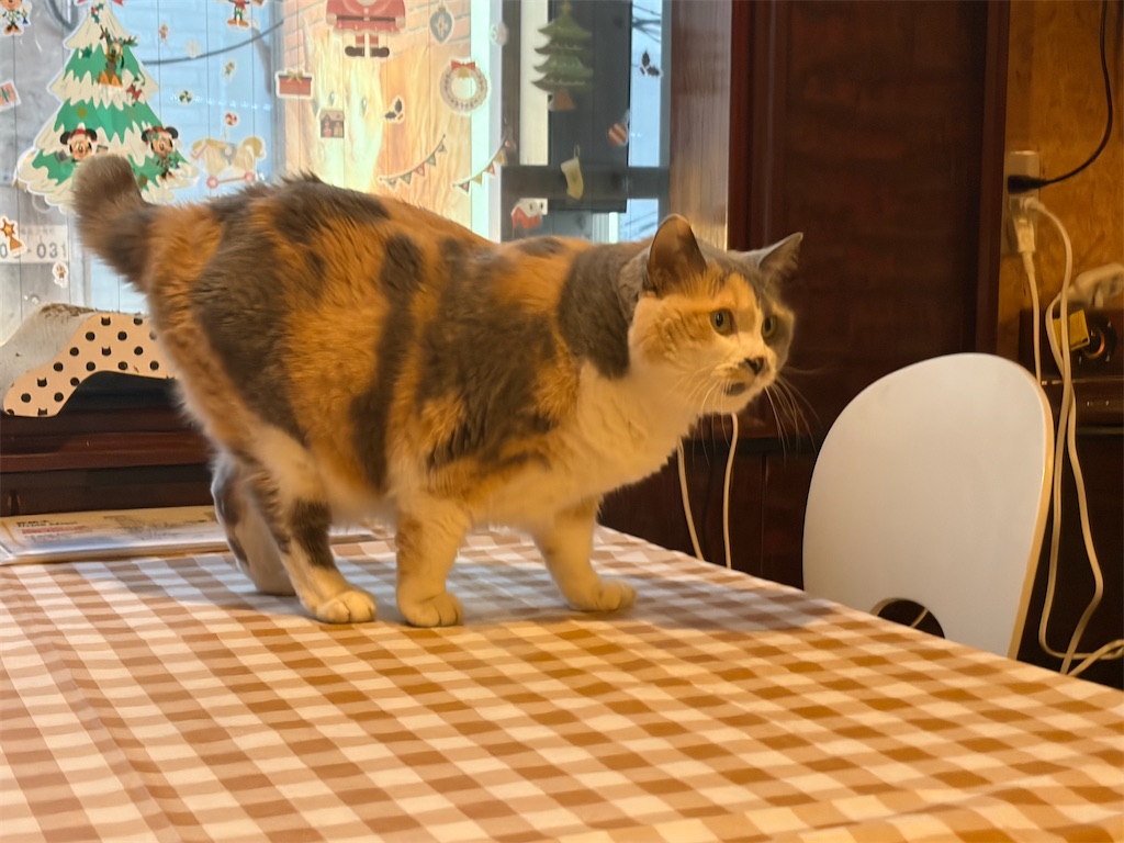 f:id:heurige2:20260324083357j:image
