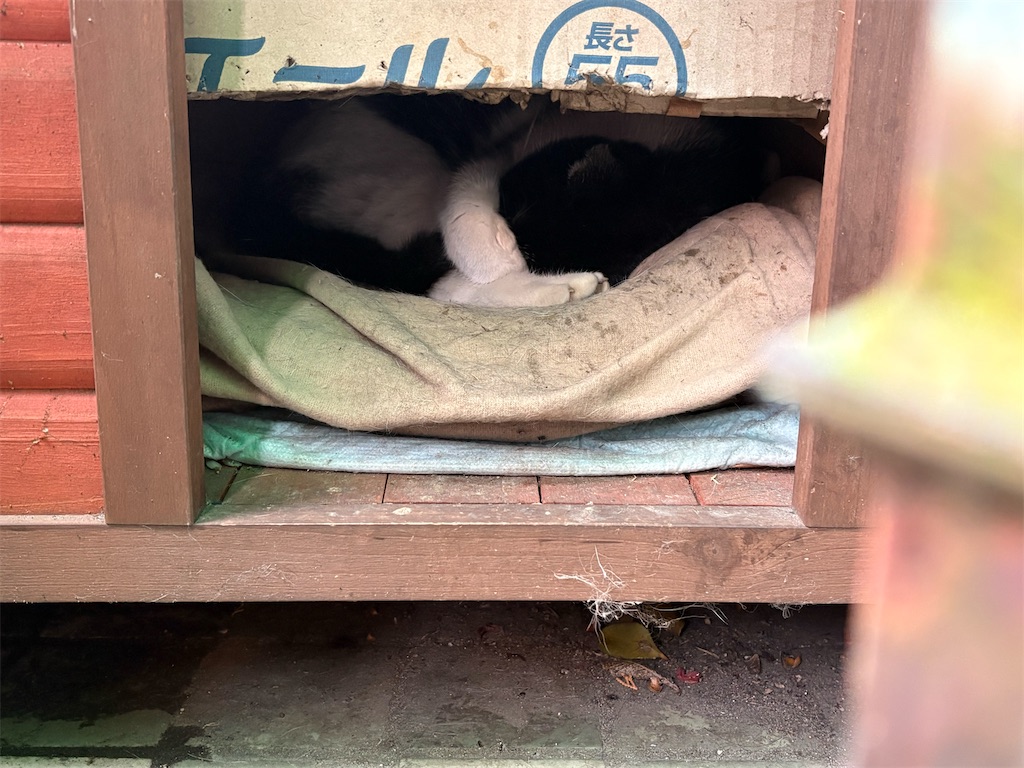 f:id:heurige2:20260327080138j:image