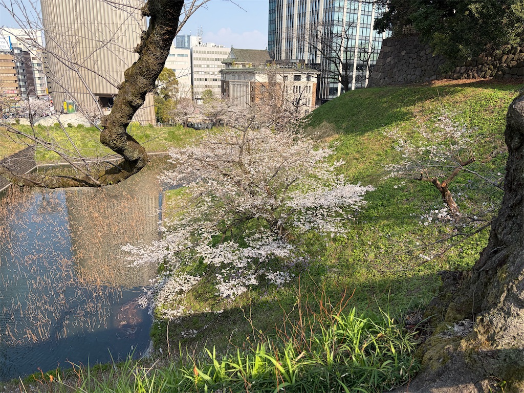 f:id:heurige2:20260402080806j:image