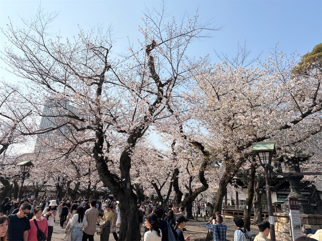 f:id:heurige2:20260402080915j:image