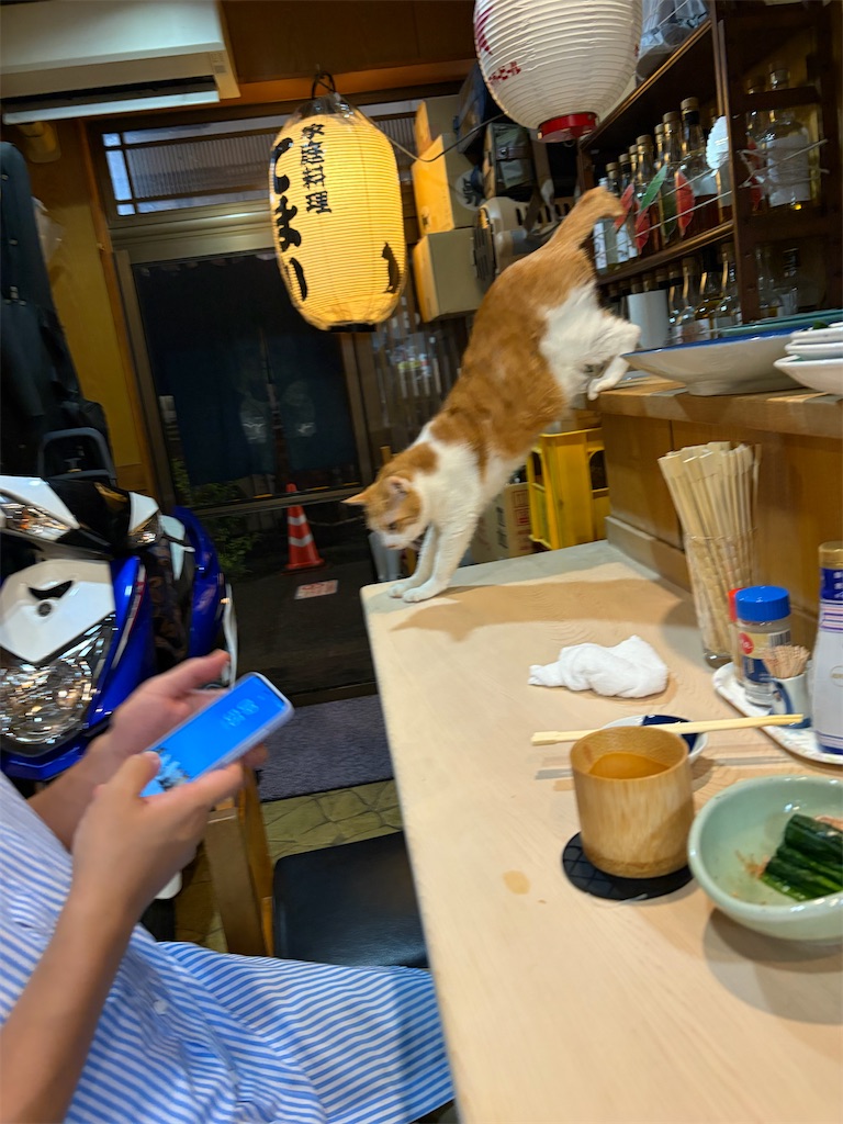 f:id:heurige2:20260406083254j:image