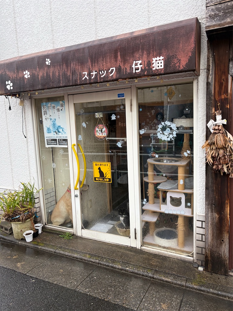 f:id:heurige2:20260407080825j:image
