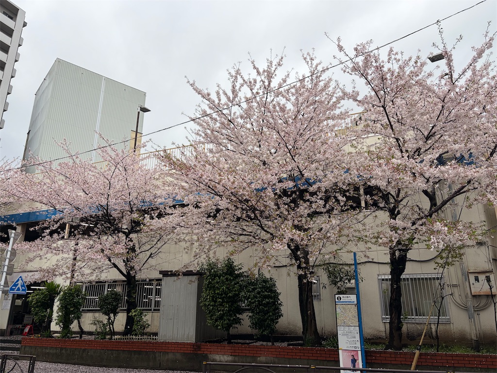 f:id:heurige2:20260408081628j:image