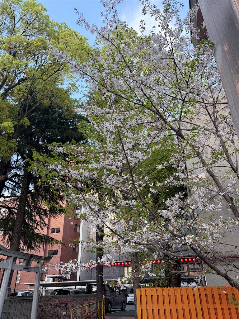 f:id:heurige2:20260416075919j:image f:id:heurige2:20260416075919j:image