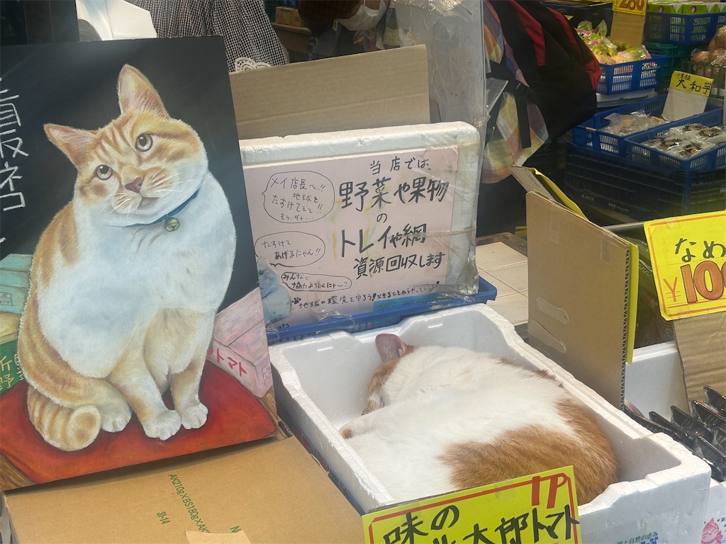f:id:heurige2:20260531110156j:image