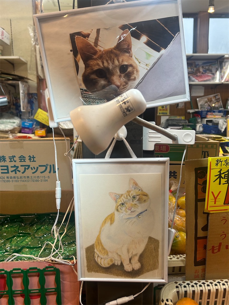 f:id:heurige2:20260531110207j:image