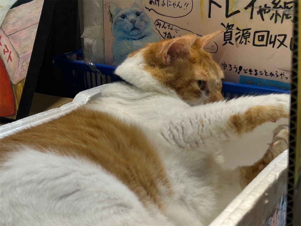 f:id:heurige2:20260531110231j:image