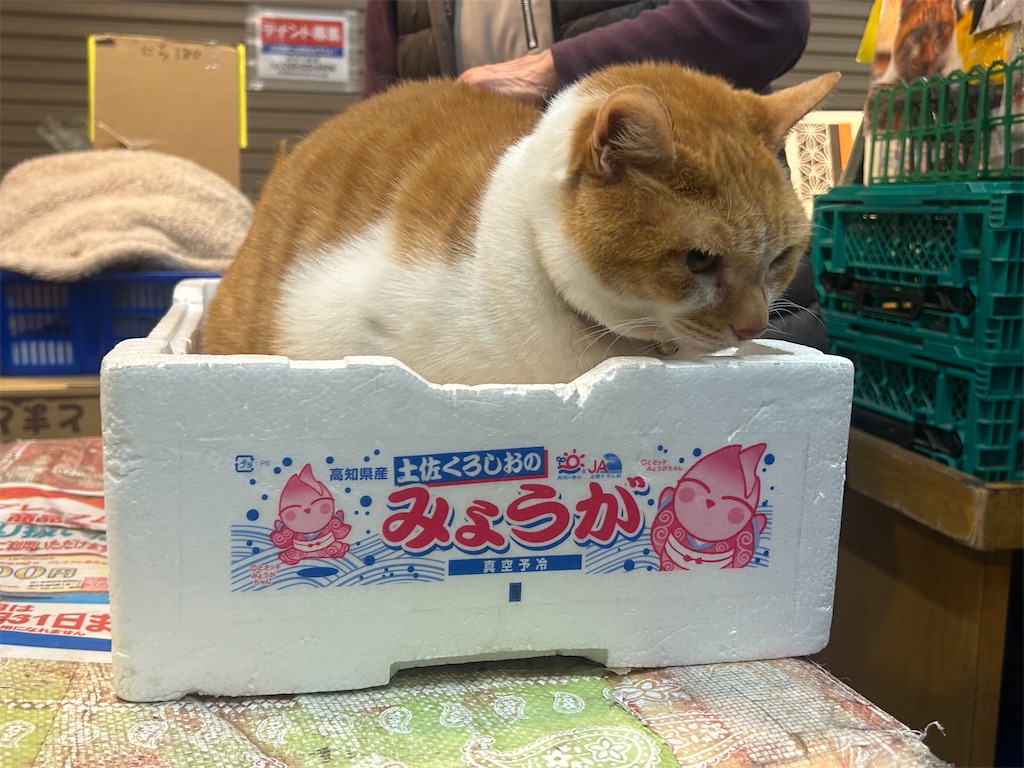 f:id:heurige2:20260723215817j:image