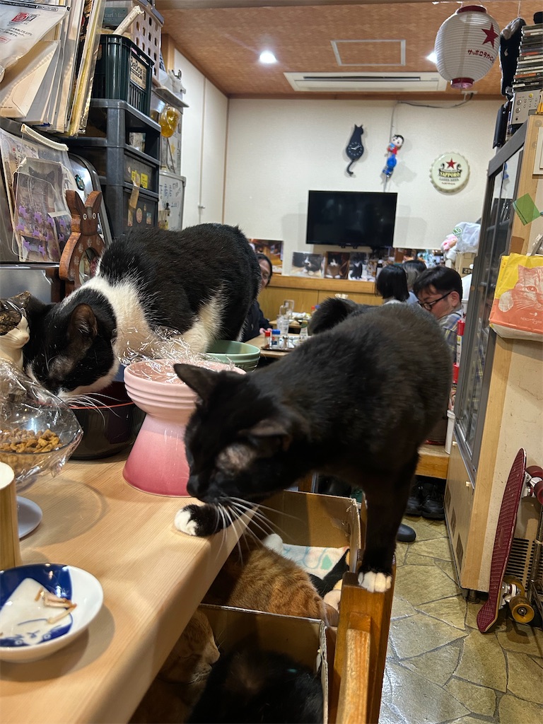 f:id:heurige2:20260815105253j:image