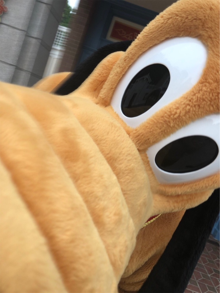 f:id:hexythm:20190226212341j:image
