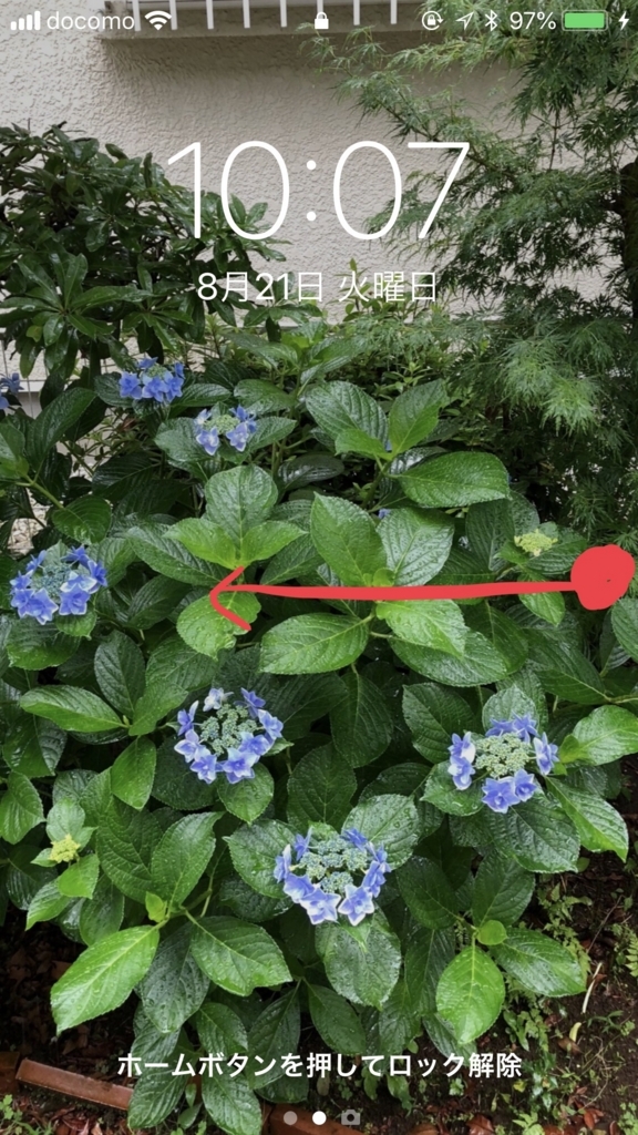 f:id:heyaganodame:20180821101031j:plain f:id:heyaganodame:20180821101031j:plain