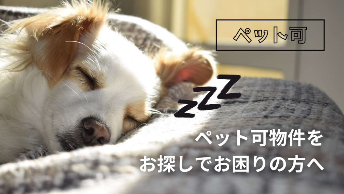 賃貸でペットを飼うメリットと注意点の画像