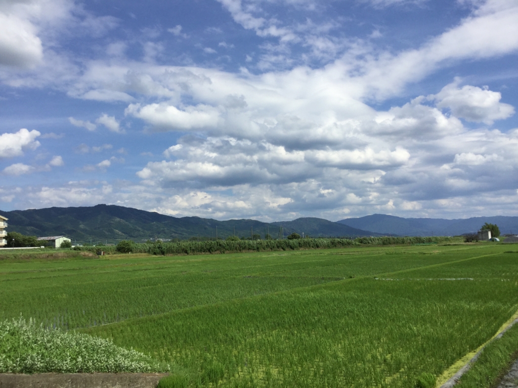 f:id:heyheymochizuki2319:20160703172615j:plain f:id:heyheymochizuki2319:20160703172615j:plain