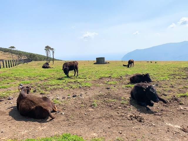 f:id:heyimhappy:20190407194734j:image f:id:heyimhappy:20190407194734j:image